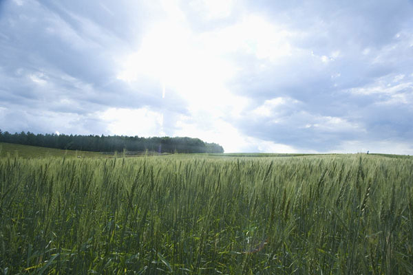 農(nóng)業(yè)與氣象環(huán)境的關(guān)系，農(nóng)業(yè)氣象監(jiān)測(cè)利器“氣象站”設(shè)備介紹