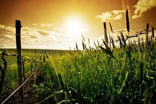 手持氣象監(jiān)測(cè)站技術(shù)參數(shù)及功能特點(diǎn)介紹