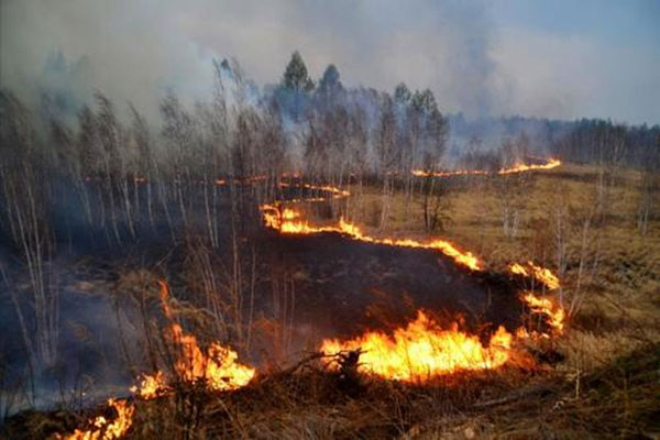 干旱天氣頻發(fā)“森林氣象站”助力森林防火消防工作