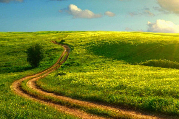 農業氣象站 農業氣象站