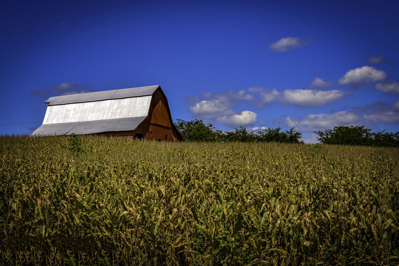 氣象站指的是什么？