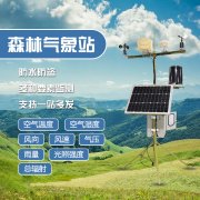 森林火災(zāi)破壞生態(tài),如何防范?