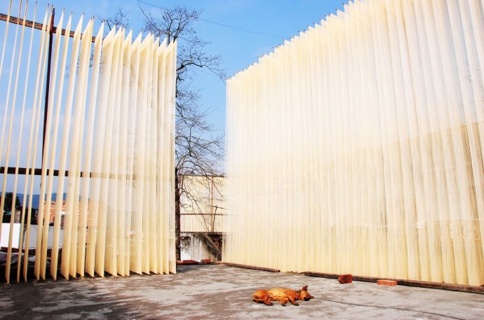 農田小型氣象站服務新農村 農田小型氣象站服務新農村