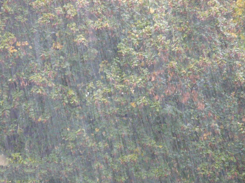 農(nóng)業(yè)種植業(yè)如何應(yīng)對暴雨? 農(nóng)業(yè)種植業(yè)如何應(yīng)對暴雨?