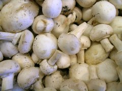 人工栽培食用菌菇，也用上了物聯網